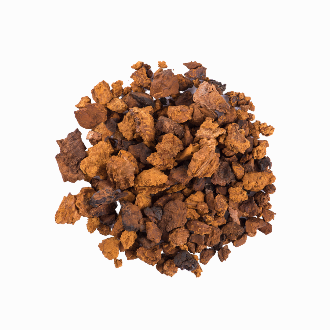 Chaga Mushroom