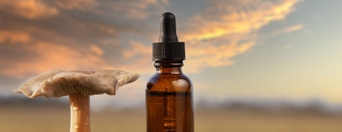 Mushroom Power Extract