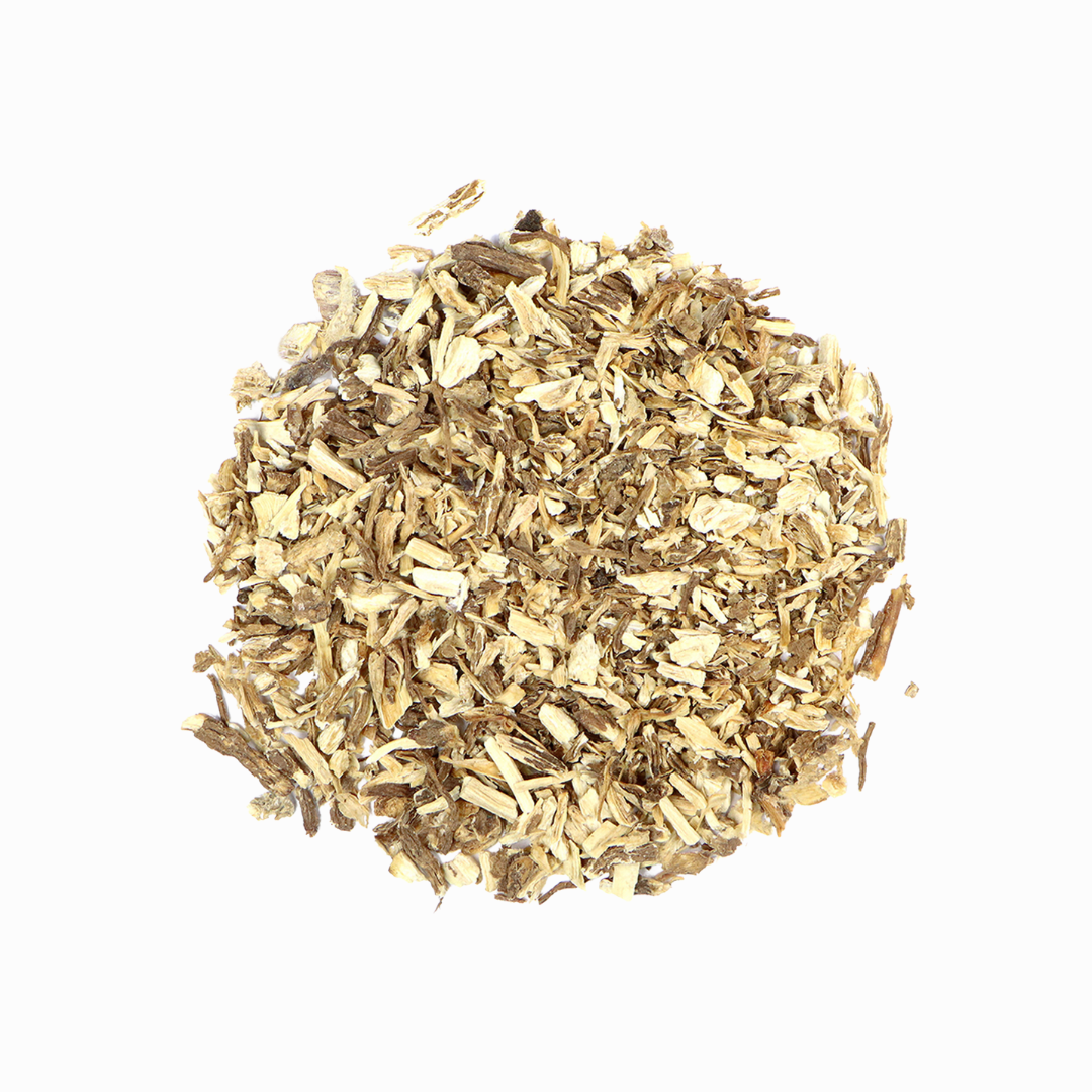 Angelica Root