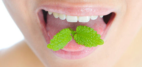 Herbal Mouth Rinse - Sunshine Organic Herbals LLC