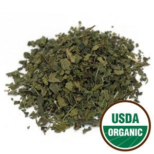 Nettle - Leaf