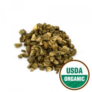 Burdock - Root