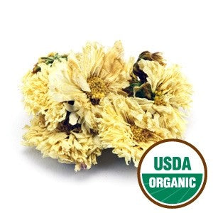 Chrysanthemum - Flower