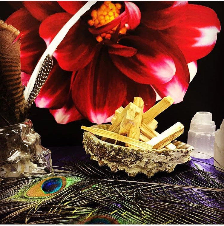 Palo Santo - Sunshine Organic Herbals LLC