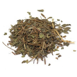 Partridgeberry (Squaw Vine)