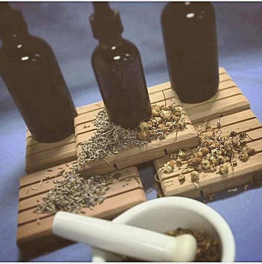 Viral Support Extract - Sunshine Organic Herbals LLC