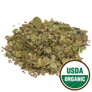Uva Ursi - Leaf