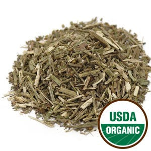 Vervain