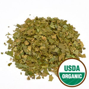 Witch Hazel - Leaf